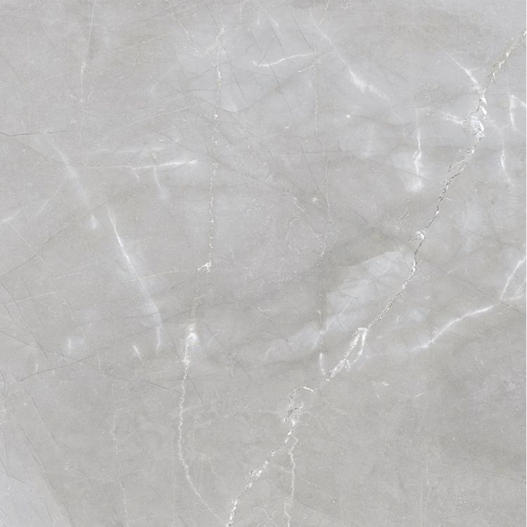 Luxury Amani Grey Polished 24 x 24